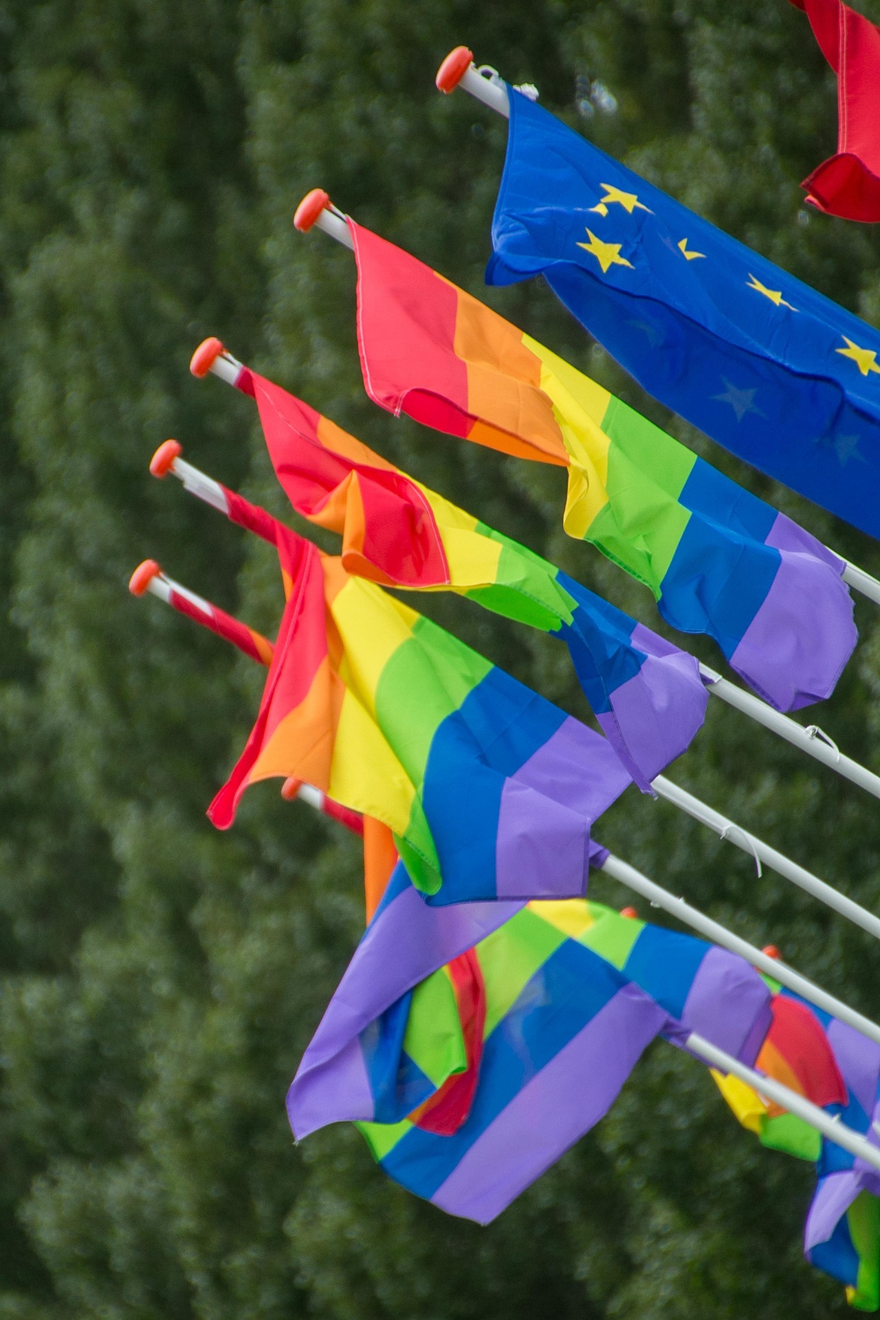 Unser Regenbogen ist fr alle da.