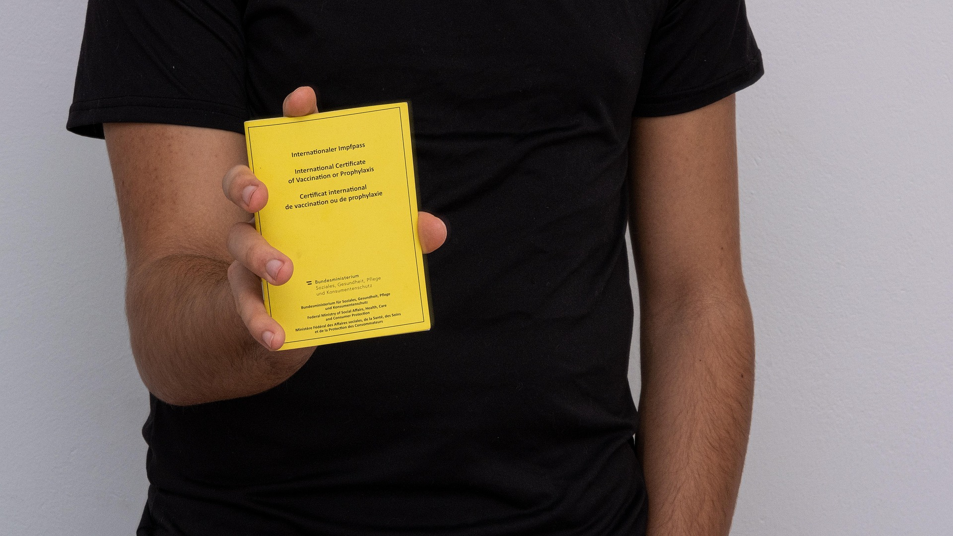 Bild von Alexandra_Koch auf Pixabay