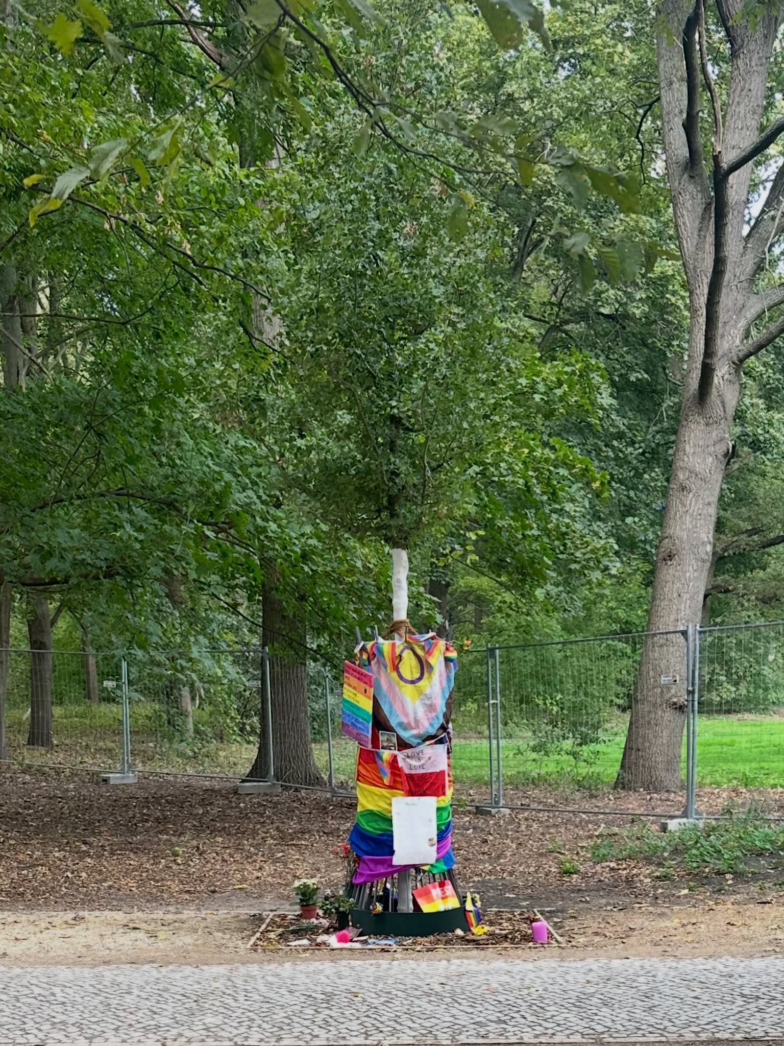 Gedenkbaum am Anschlagsort im Tiergarten.
Bild: Ren� Powilleit